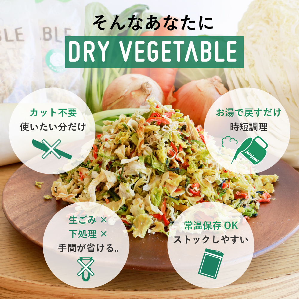 通常用登場