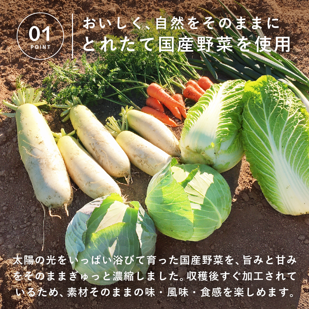 通常用登場