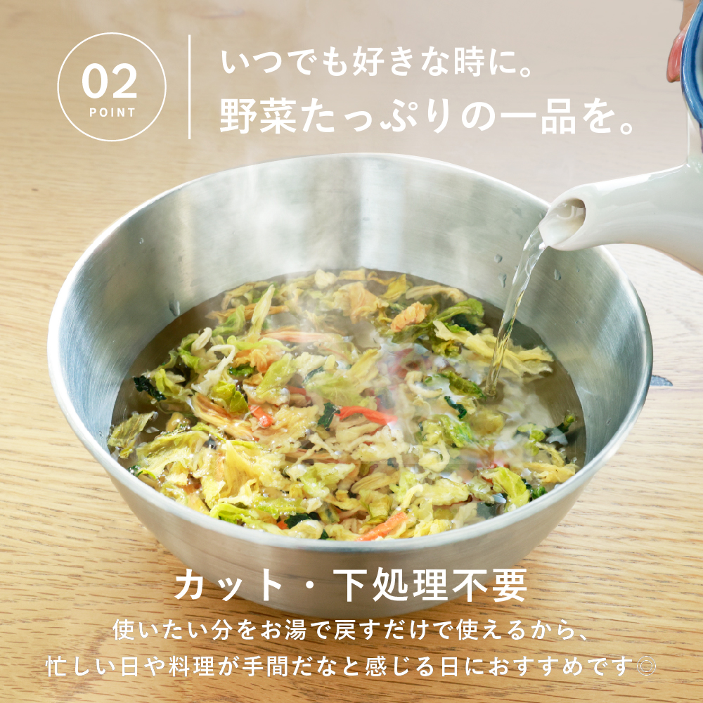 通常用登場