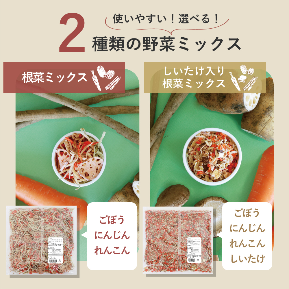 ラインナップ