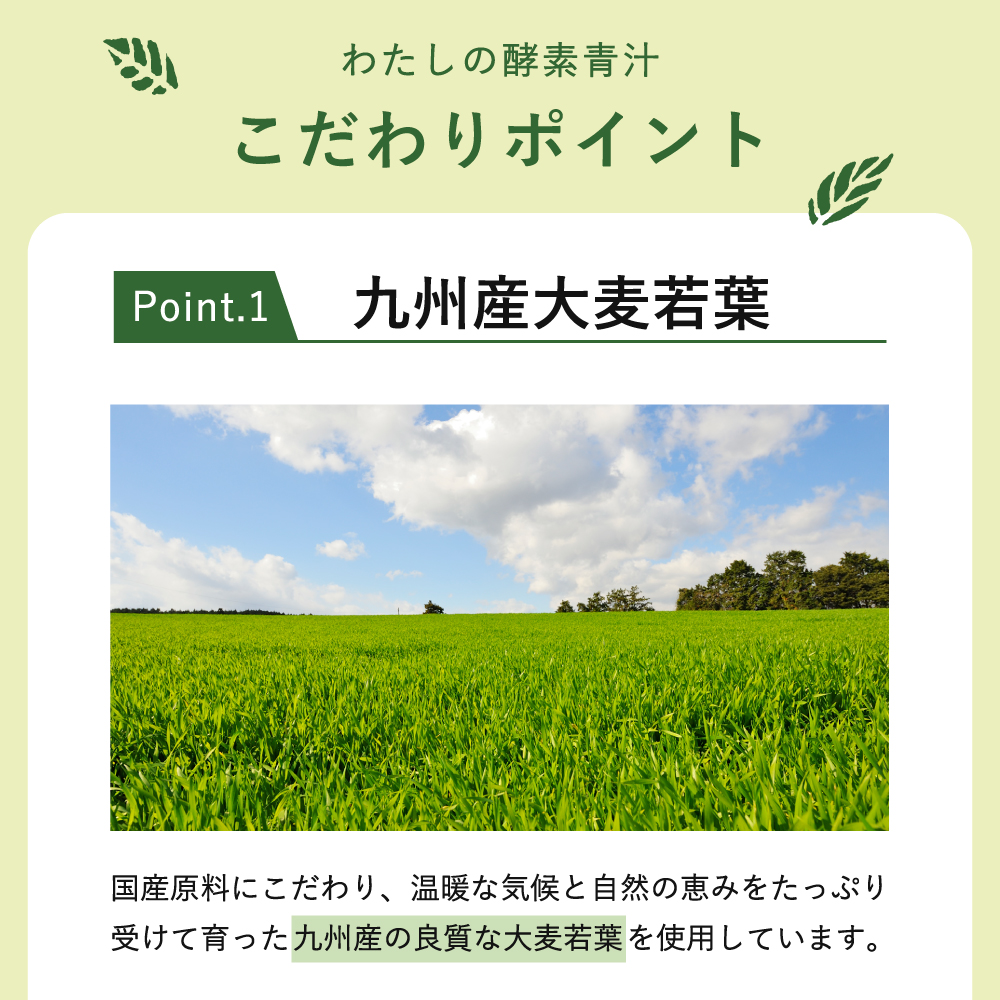 ポイント1