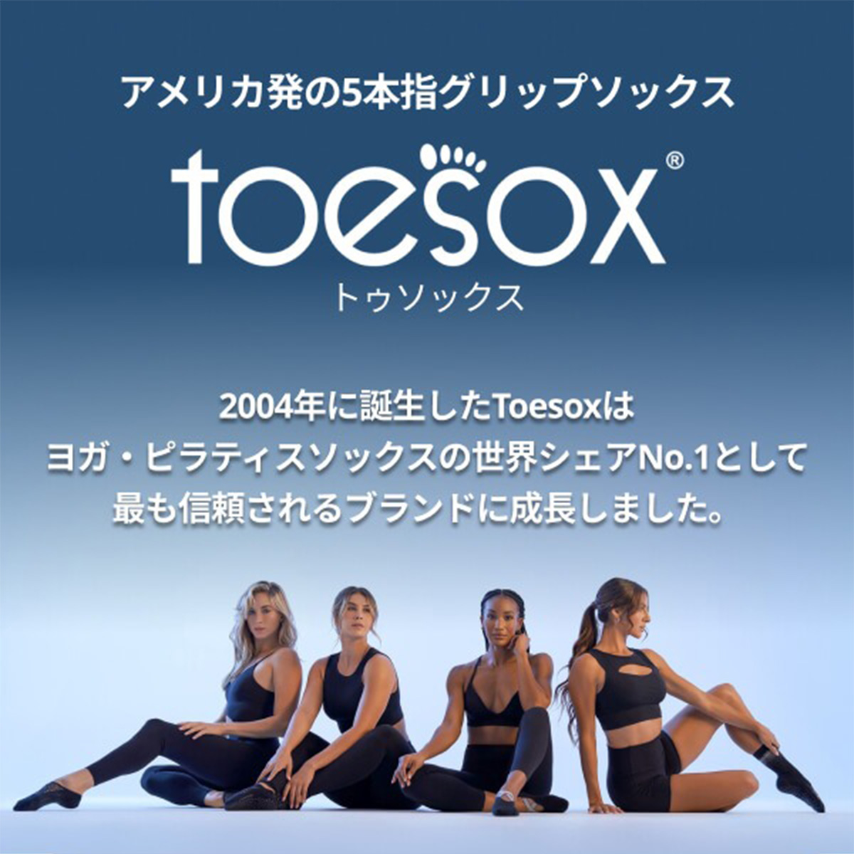 toesox トゥソックス ヨガソックス エル　つま先あり