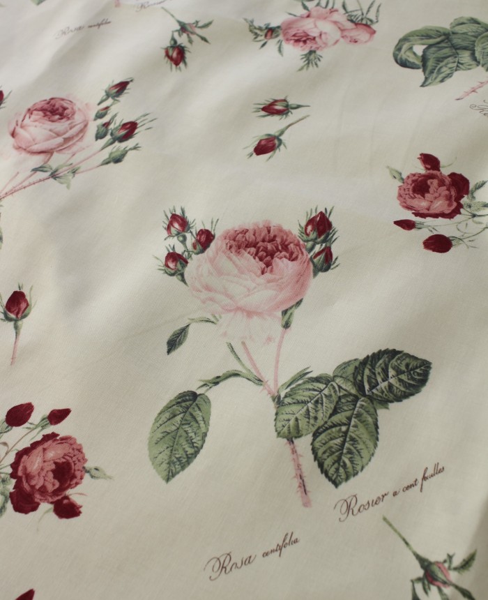 ハードカバー　バラ　ピエール　ジョセフ・ルドゥーテ 豪華愛蔵版 Les Roses バラ図譜 | ピエール・ジョセフ