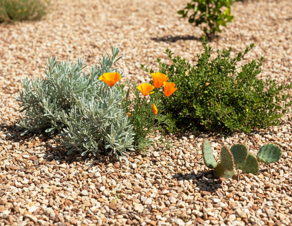砂利 玉石 洋風 庭 砂利 砕石