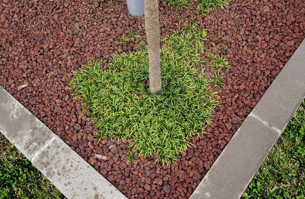 砂利 玉石 洋風 庭 砂利 砕石