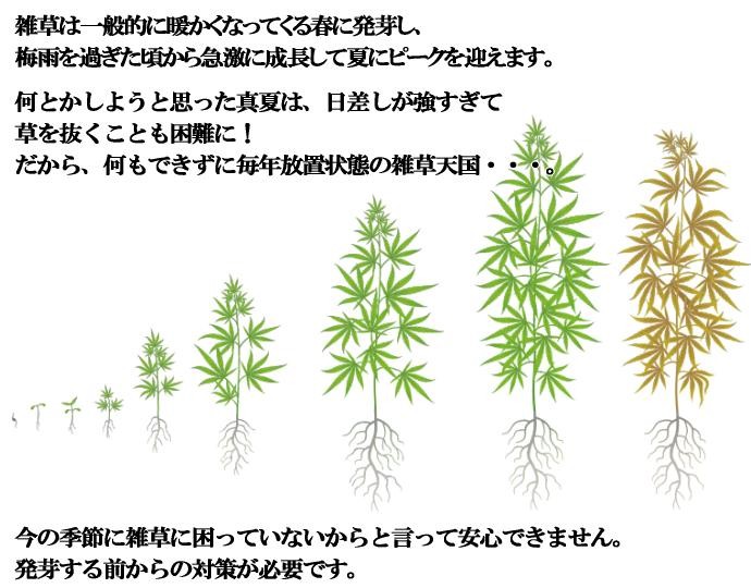 レンガ貼り 防草シート 今の季節の対策が必要