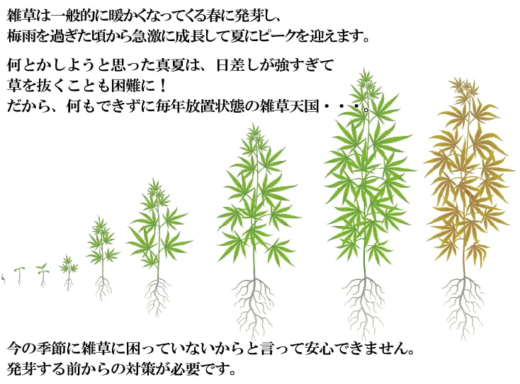 レンガ貼り 防草シート 今の季節の対策が必要