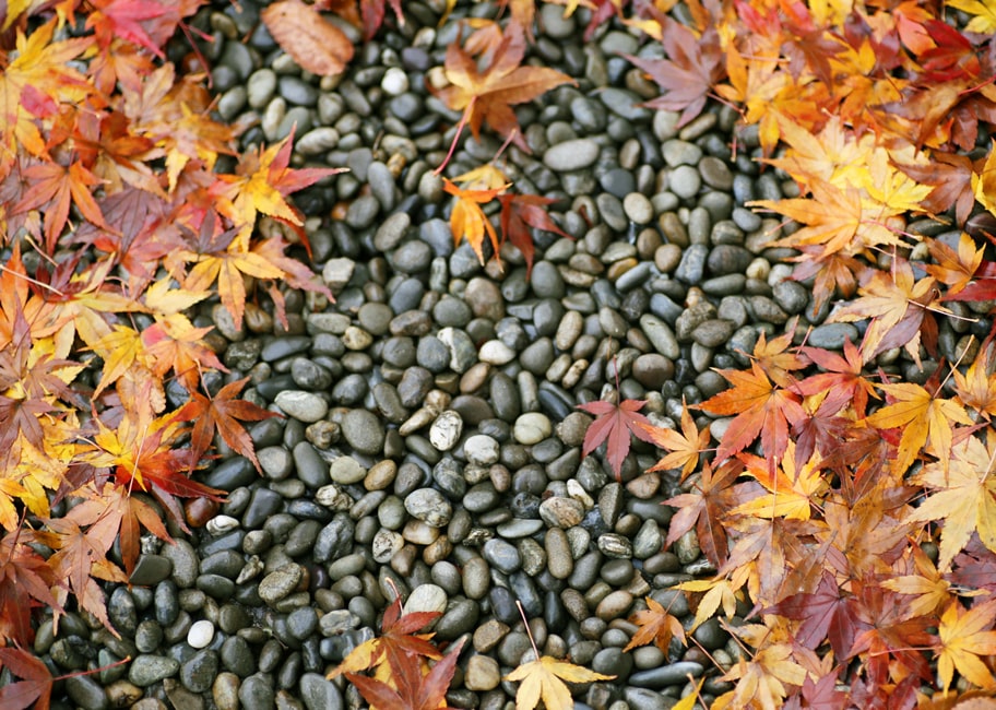 砂利 玉石 洋風 庭 玉砂利石