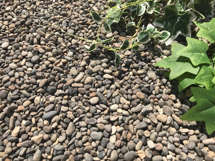 玉砂利 砂利 石 和風 庭 敷き 御浜玉石 玉石 ミックス