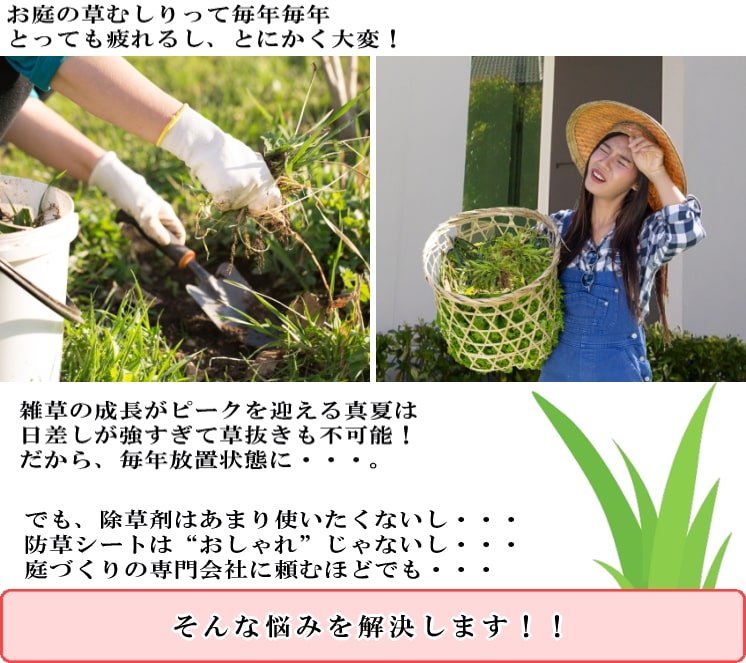 毎年大変な草むしり 雑草対策
