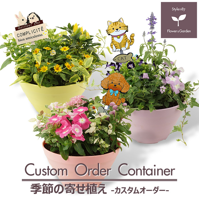 季節の寄せ植え ギフトに最適です。 カスタムオーダーできるボール