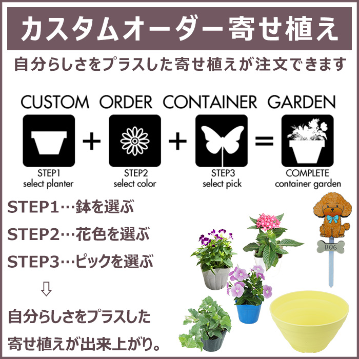 オーダー寄せ植えご相談ページ 季節の寄せ植え ギフトに最適です。 カスタムオーダーできるボール