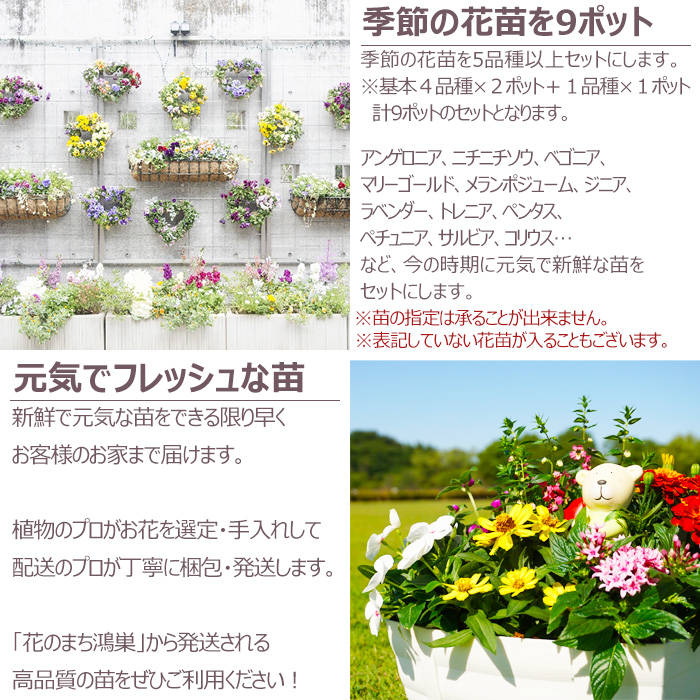 花苗 春夏 セット 季節の花苗おまかせ9ポット ガーデニング 花壇 送料