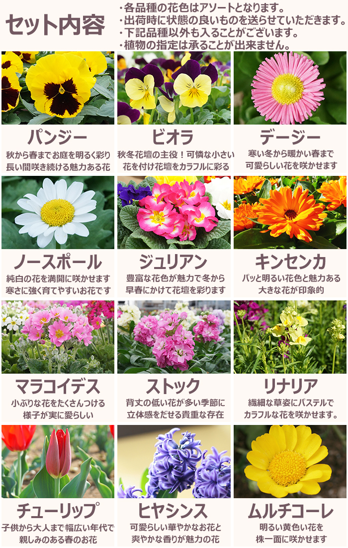 【全2巻セット・美品】 　花材百科 四季花事典①春夏＋②秋冬・周年 全2巻セット・美品】 花材百科 四季花事典①春夏＋②