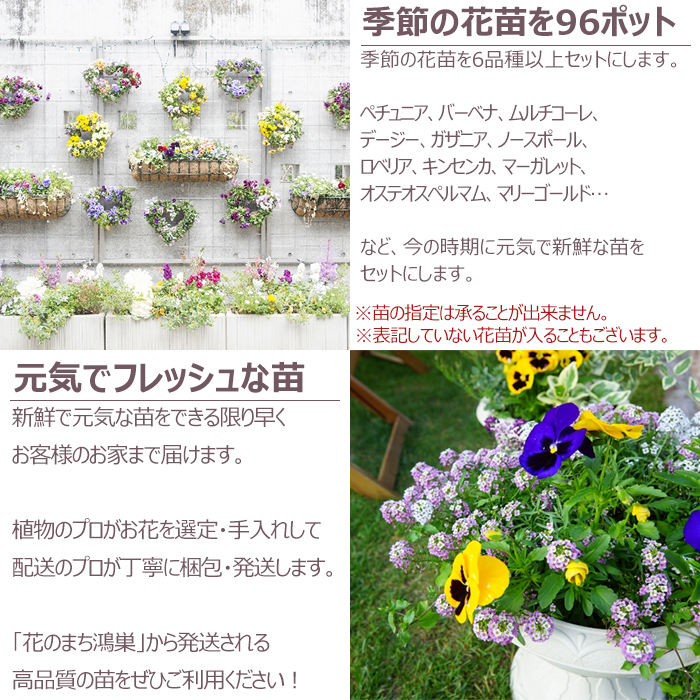 庭の花｜園芸日記byjictenko｜みんなの趣味の園芸｜1322797