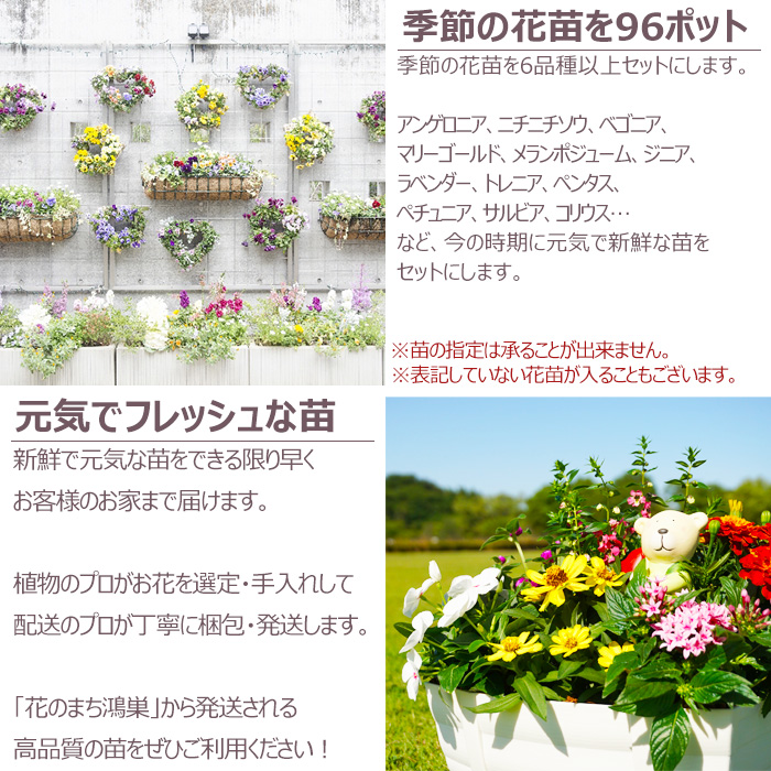 現代季節料理全集 全5巻セット 料理本まとめ売り