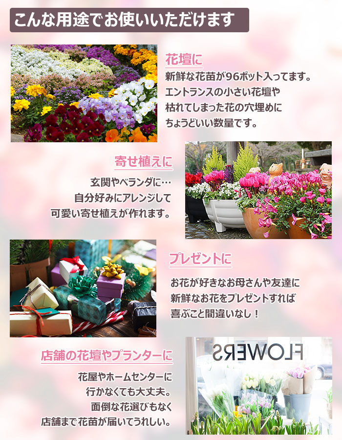 ☆希少 花色合わせで楽しむガーデニング 山本規詔【即決