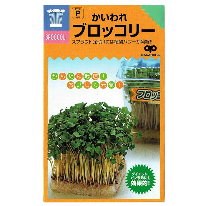 スプラウト 種 白ごま（セサミ） 話題のタネを送料無料でご自宅までお
