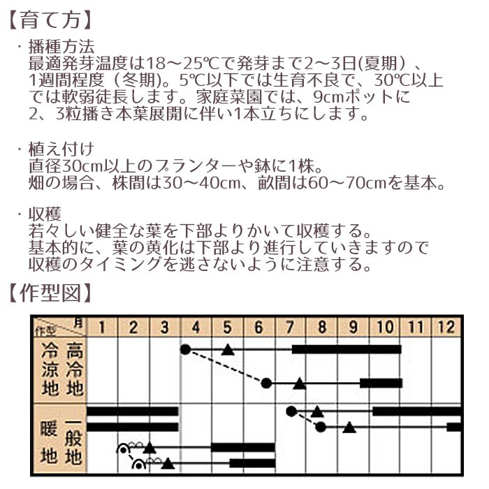 野菜のタネ カリノケール・ミスタ（ケール） イタリアの珍しい種を送料無料でお届け!! :tane-006:STYLE1187 - 通販 -  Yahoo!ショッピング