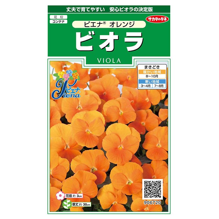 花の種 実咲花6720 ビオラピエナオレンジ :tane-165:STYLE1187 通販 