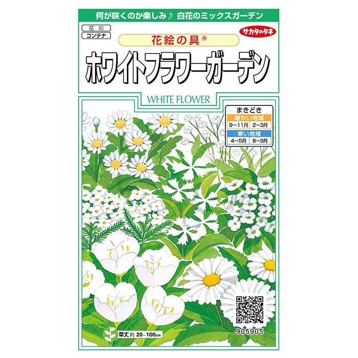 花*花ページ 花の種 実咲花5905 花絵の具ホワイトフラワーガーデン : STYLE1187