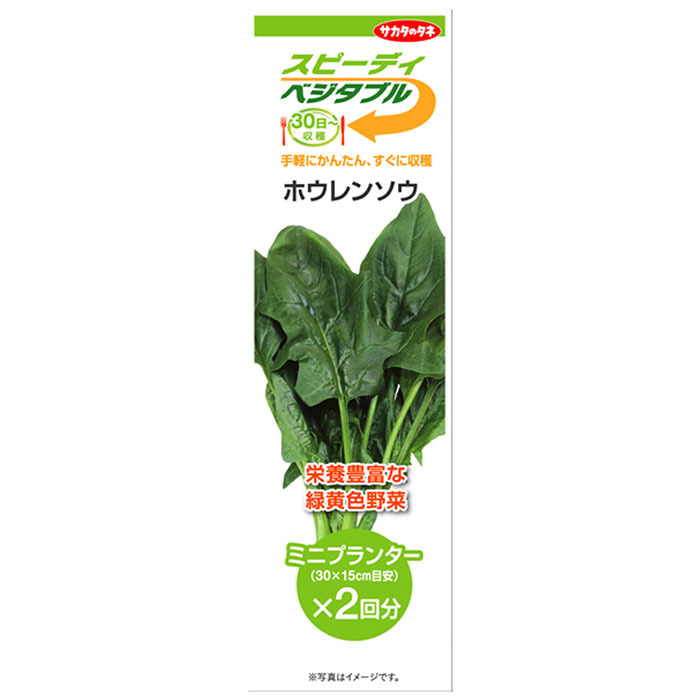 100％の保証 1.8ml 野菜の種 メール便発送 リーフレタスミックス タキイ