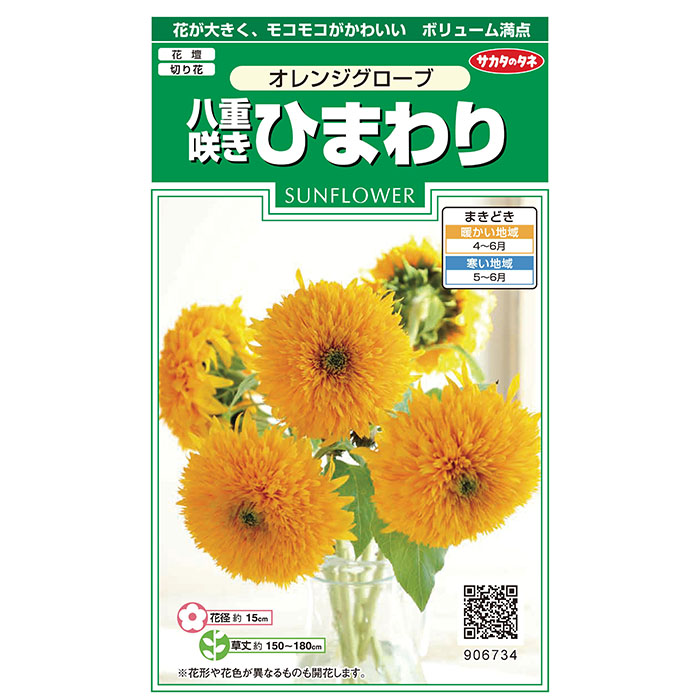花の種 実咲花6734 八重咲きひまわり オレンジグローブ サカタの
