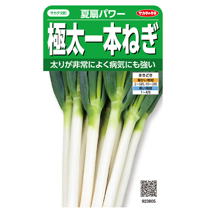 野菜の種 実咲野菜3805 ネギ 極太一本ねぎ 夏扇パワー : STYLE1187