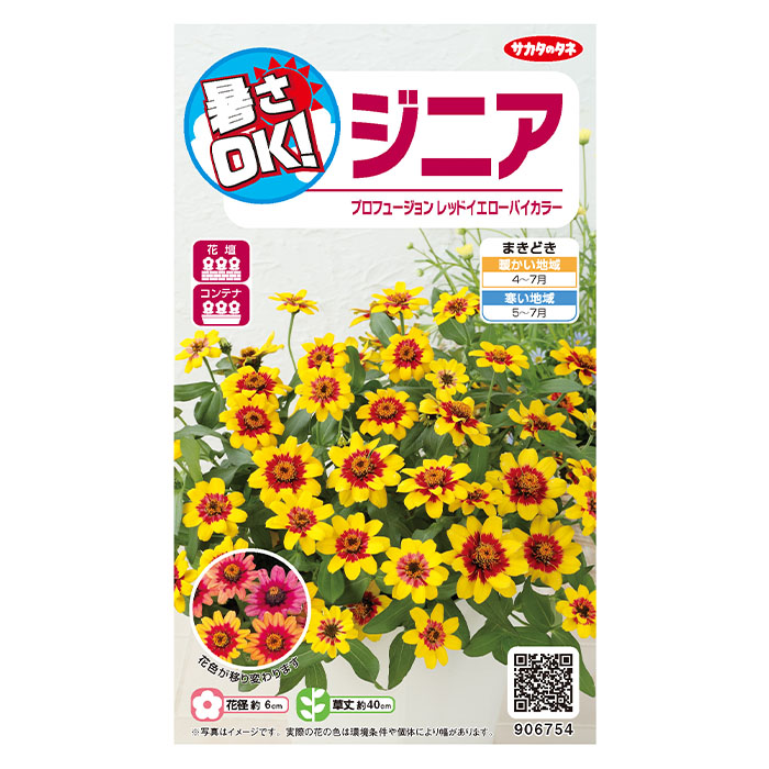 花の種 実咲花6754 暑さOK ジニア プロフュージョン レッドイエロー