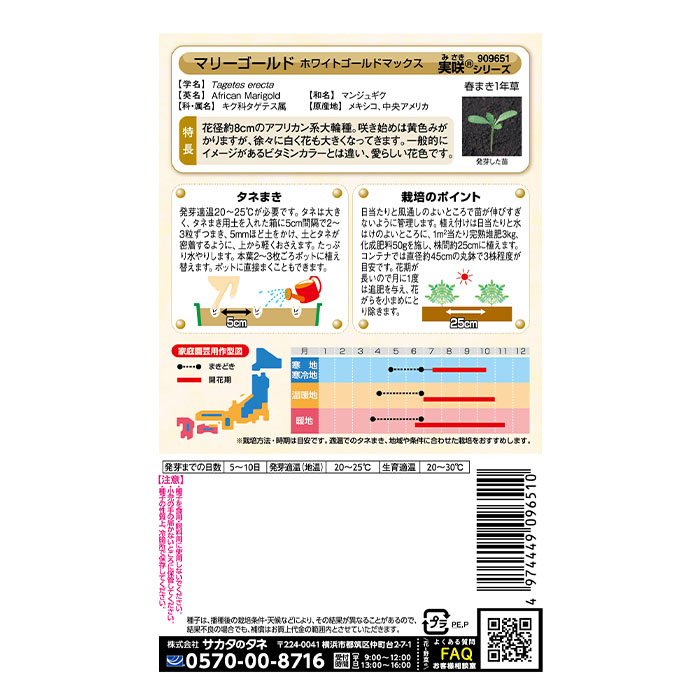 花の種 実咲花9651 マリーゴールド ホワイトゴールド マックス