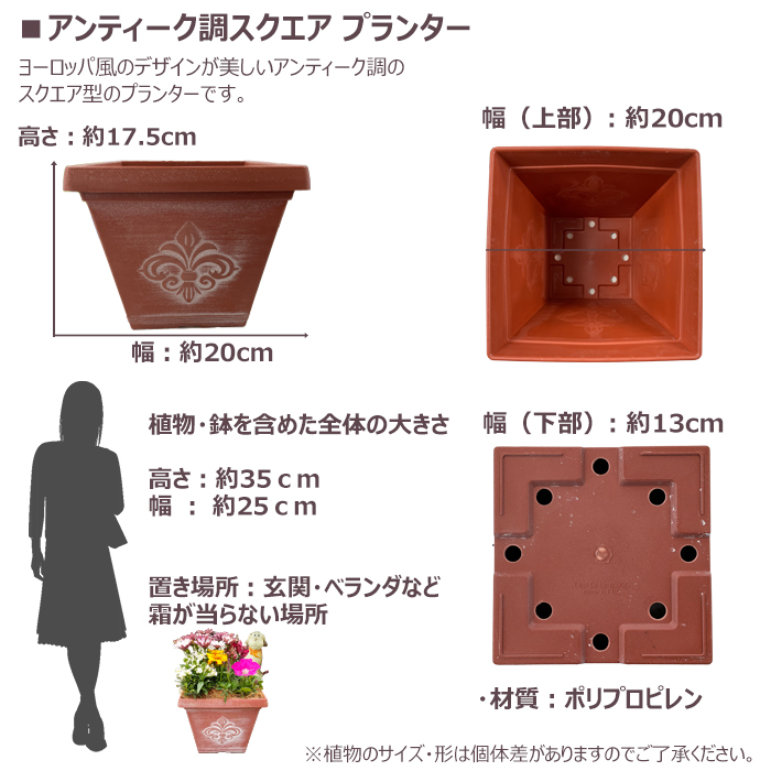 季節の寄せ植え 春夏 アンティーク調スクエアプランター ブラウン