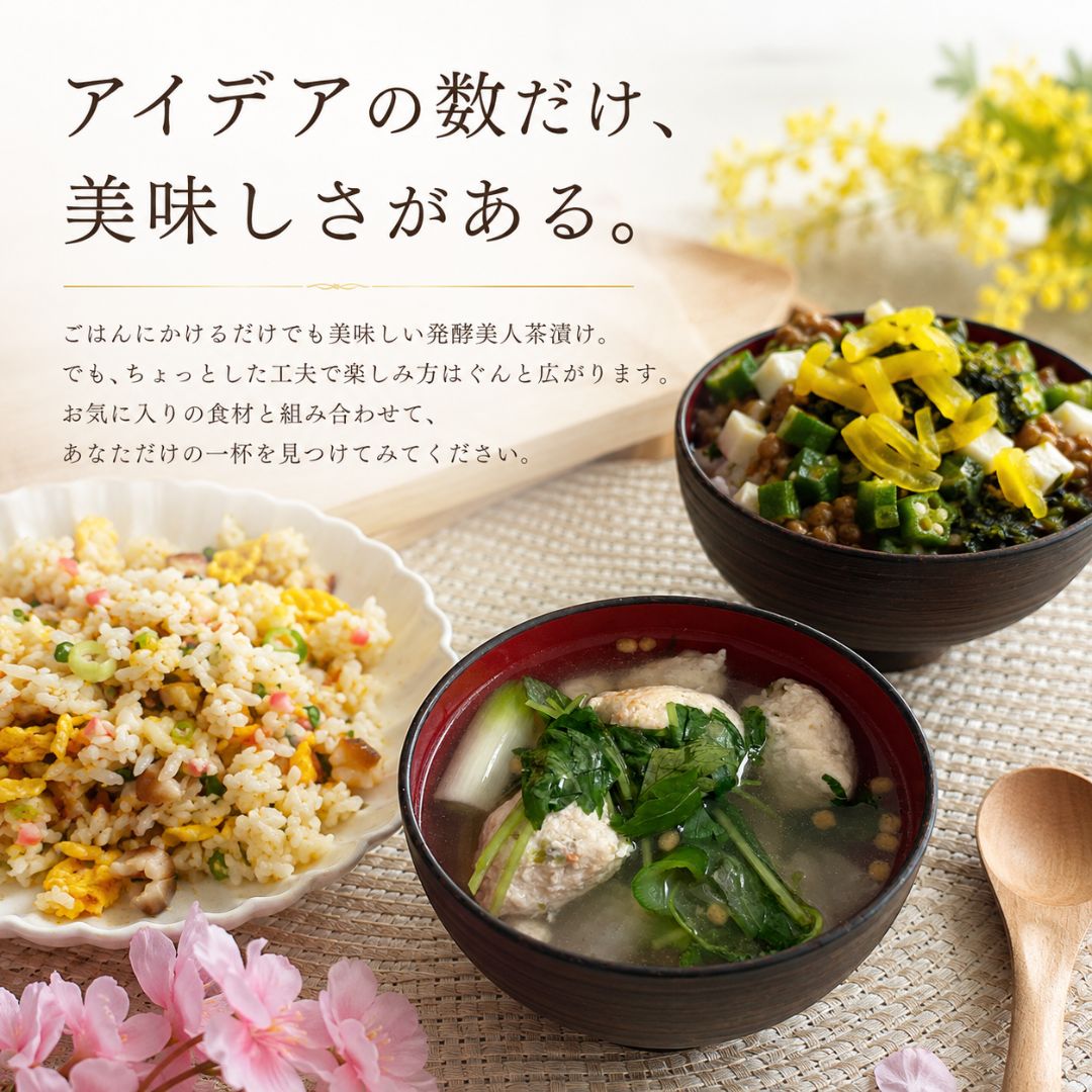 管理栄養士監修】発酵美人茶漬け 鮭 10食入 個包装 無添加 酵素