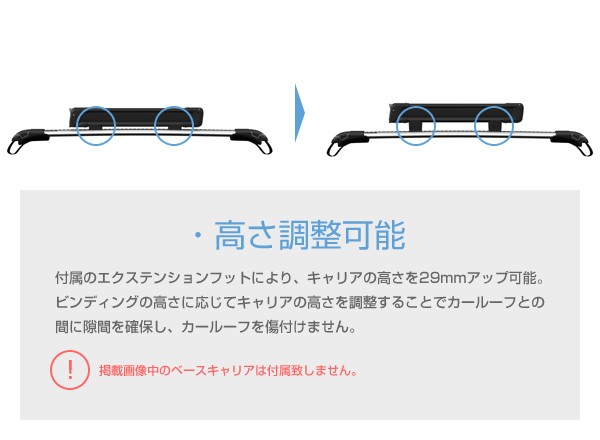 Thule（スーリー） スキー板・スノーボード用キャリア SnowPack