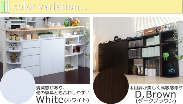 カウンター下収納 扉 幅60／キッチン収納 リビング 壁面収納 薄型