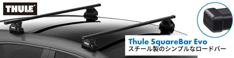 THULE スーリー RAV4 50系（ダイレクトルーフレール付 H31/4〜）用