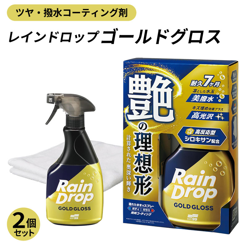 車用 撥水コーティング剤 2個セット ソフト99 レインドロップ ゴールド