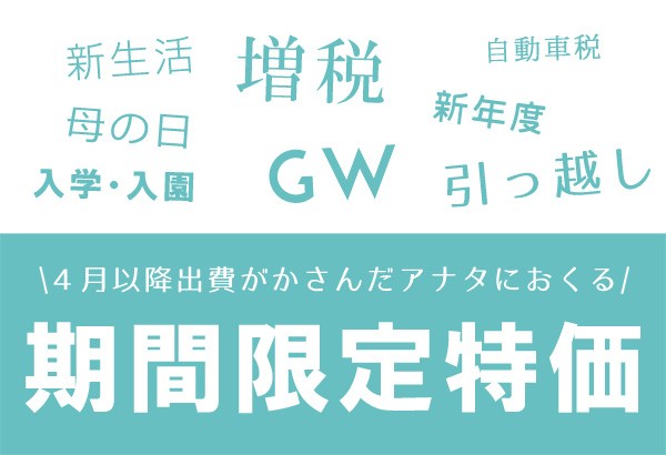 日本製 ユニチカ キュービックアイ使用 敷きパッドとしても使える 強力