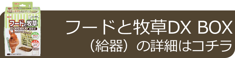 GEX（ジェックス） スマートルームクリア2 おすすめセット ドリンク