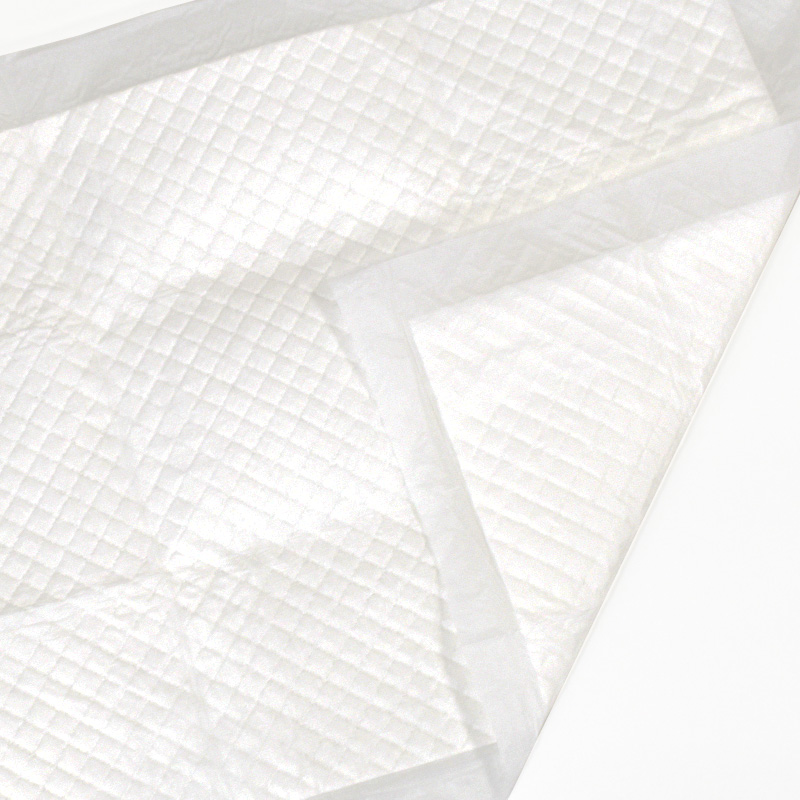 お試し用　厚型　ペットシーツ　レギュラー 4枚　ワイド 2枚　スーパーワイド 1枚 | スタイルプラス | 01