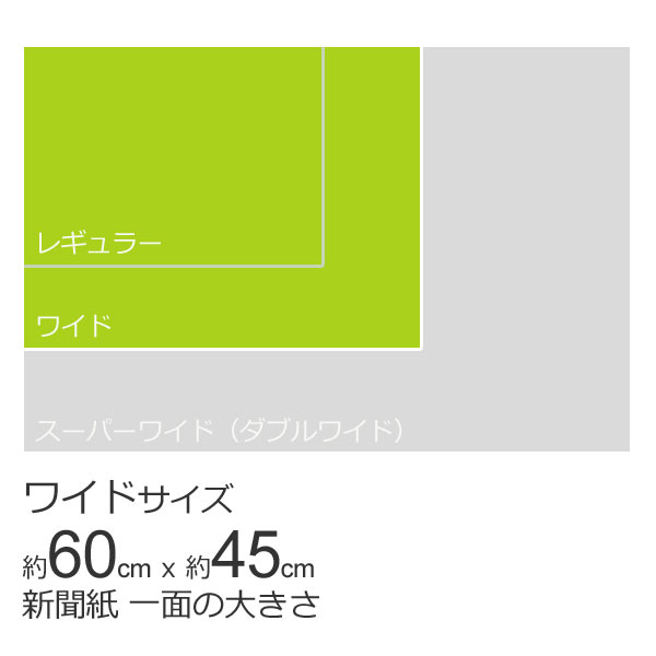 1袋販売 パック　厚型 炭入り　ペットシーツ　レギュラー100枚 ワイド50枚 スーパーワイド25枚...