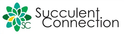 Succulent Connection ロゴ
