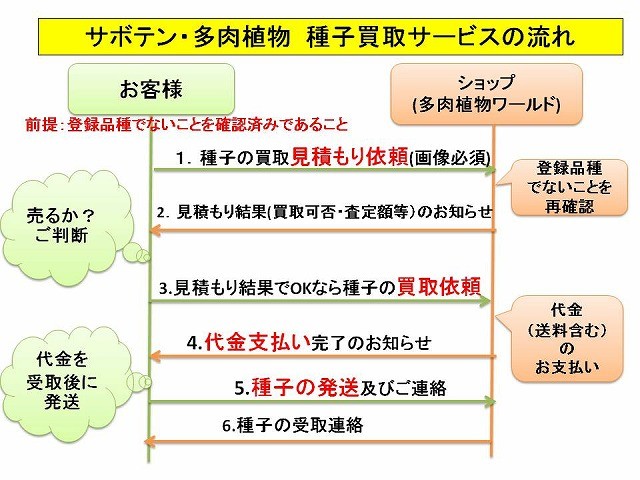 サボテン・多肉植物種子買取サービス - 多肉植物ワールド - 通販 - Yahoo!ショッピング