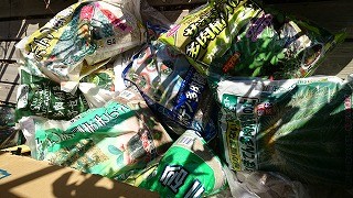 タネから育てる多肉植物のための一般的な実生 みしょう ガイド 多肉植物ワールド 通販 Yahoo ショッピング タネから育てる多肉植物のための一般的な実生 みしょう ガイド 多肉植物ワールド 通販 Yahoo ショッピング
