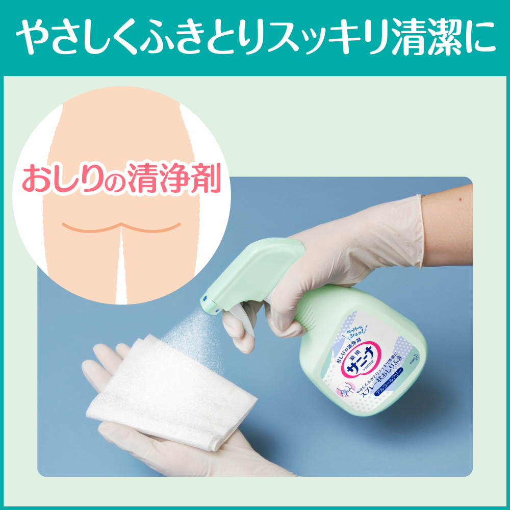 花王サニーナ12本 Kao（花王） サニーナ 薬用スプレー状 おしりふき 400ml×12本 業務用