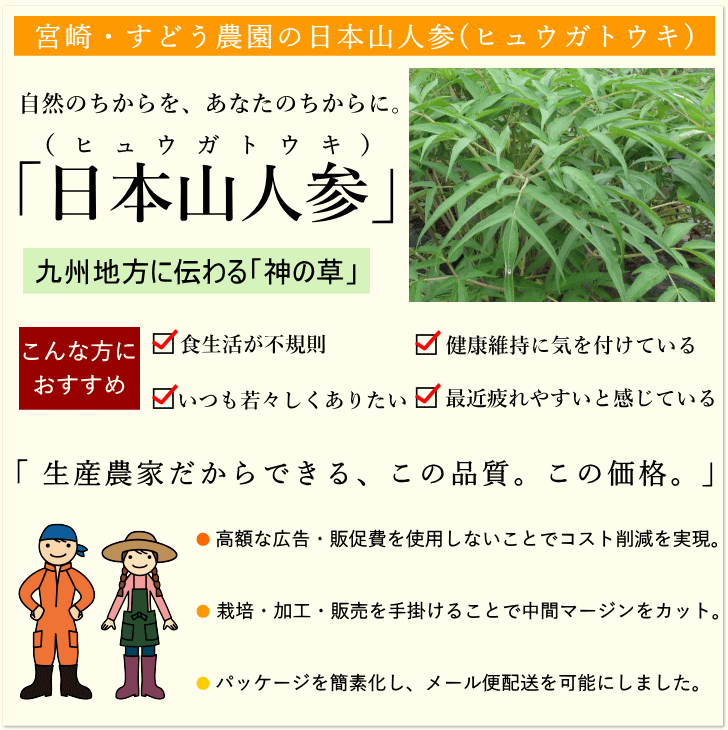 日本山人参　サプリ 30粒 ヒュウガトウキ サプリ 日向当帰　サプリ　宮崎県産 無農薬 神の草