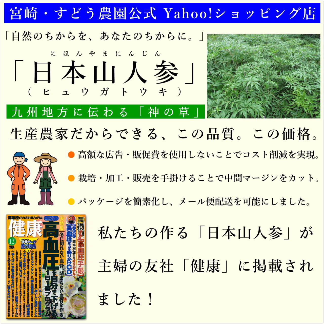 日本山人参 サプリ 30粒 ヒュウガトウキ サプリ 日向当帰 サプリ