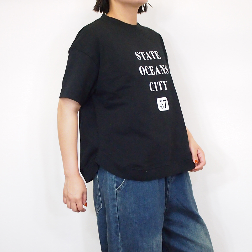 BLUE LAKE MARKET ブルーレイクマーケット アメリカンドライ天竺 プリント Tシャツ STATE OCEANS CITY 夏 レディース 半袖 おしゃれ 綿 コットン 30代40代 楽天市場】【最大3,000円OFFクーポン配布中】【SALE セール 40