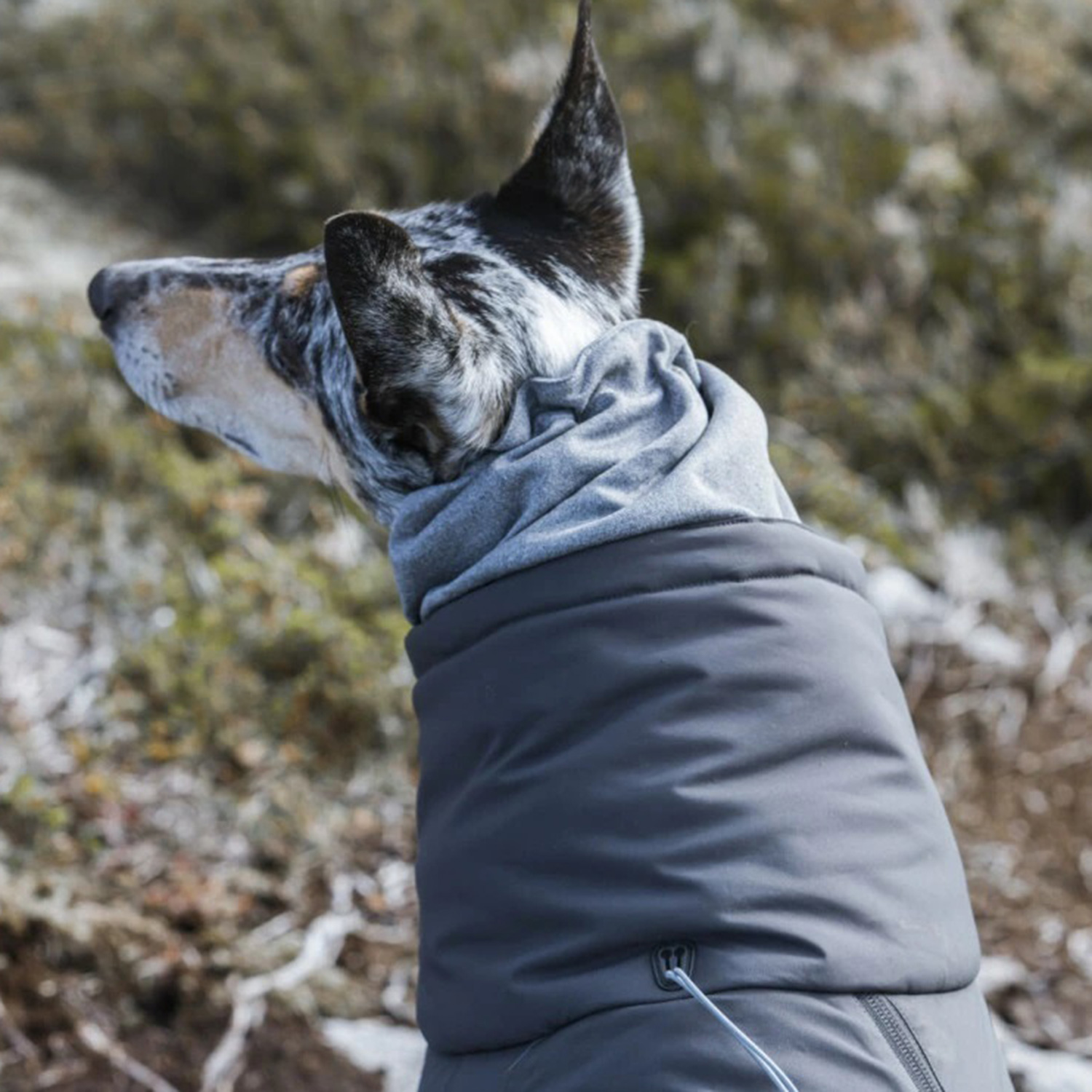 Hurtta フルッタ 犬 服 オーバーオール 犬服 冬 アウター 中型犬 防寒