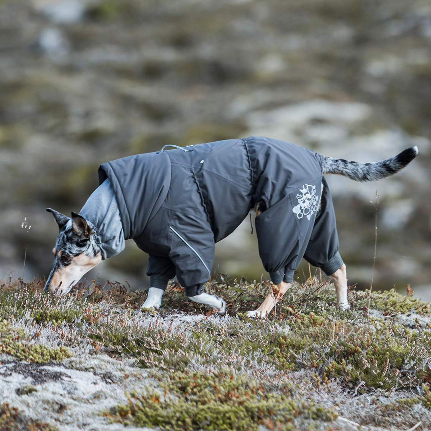 Hurtta フルッタ 犬用防寒服 30S Hurtta フルッタ 犬 服 オーバーオール 犬服 冬 アウター 大型犬