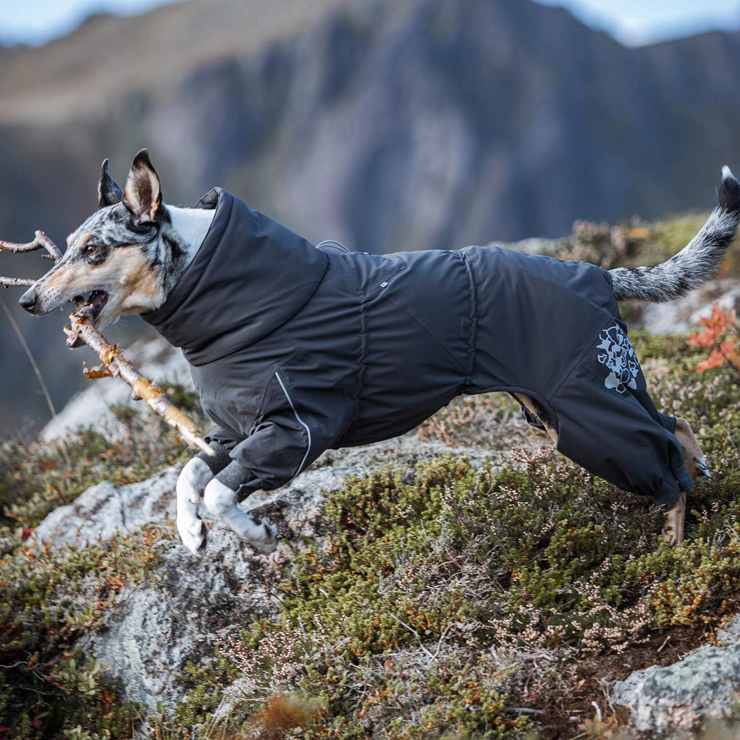 Hurtta フルッタ エクストリームオーバーオール 35S 犬服　防寒着　冬着 Hurtta フルッタ 犬 服 オーバーオール 犬服 冬 アウター 大型犬